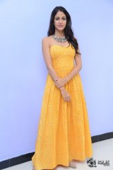 Lavanya Tripathi At Srirastu Subhamastu Movie 1st Song Launch